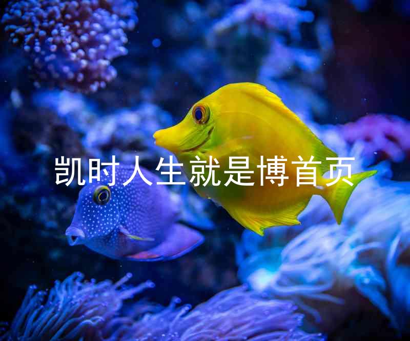 凯时人生就是博首页