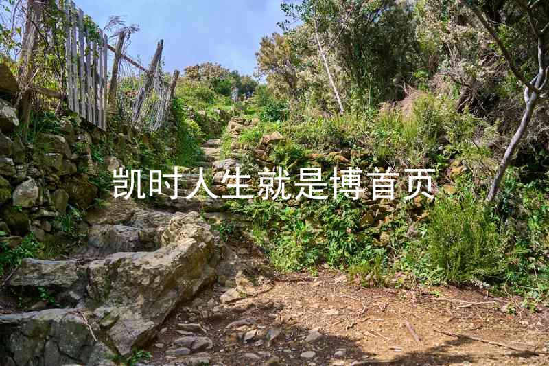 凯时人生就是博首页